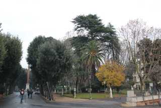 Italy (Jan 2012) 055.jpg